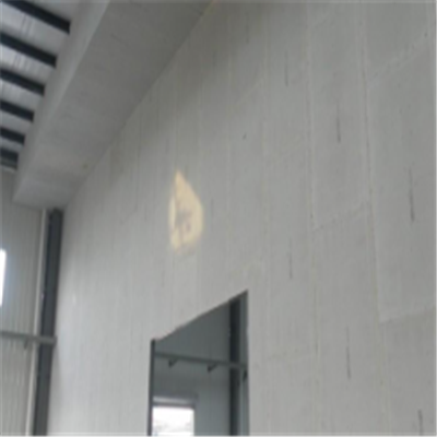 台州宁波ALC板|EPS加气板隔墙与混凝土整浇联接的实验研讨